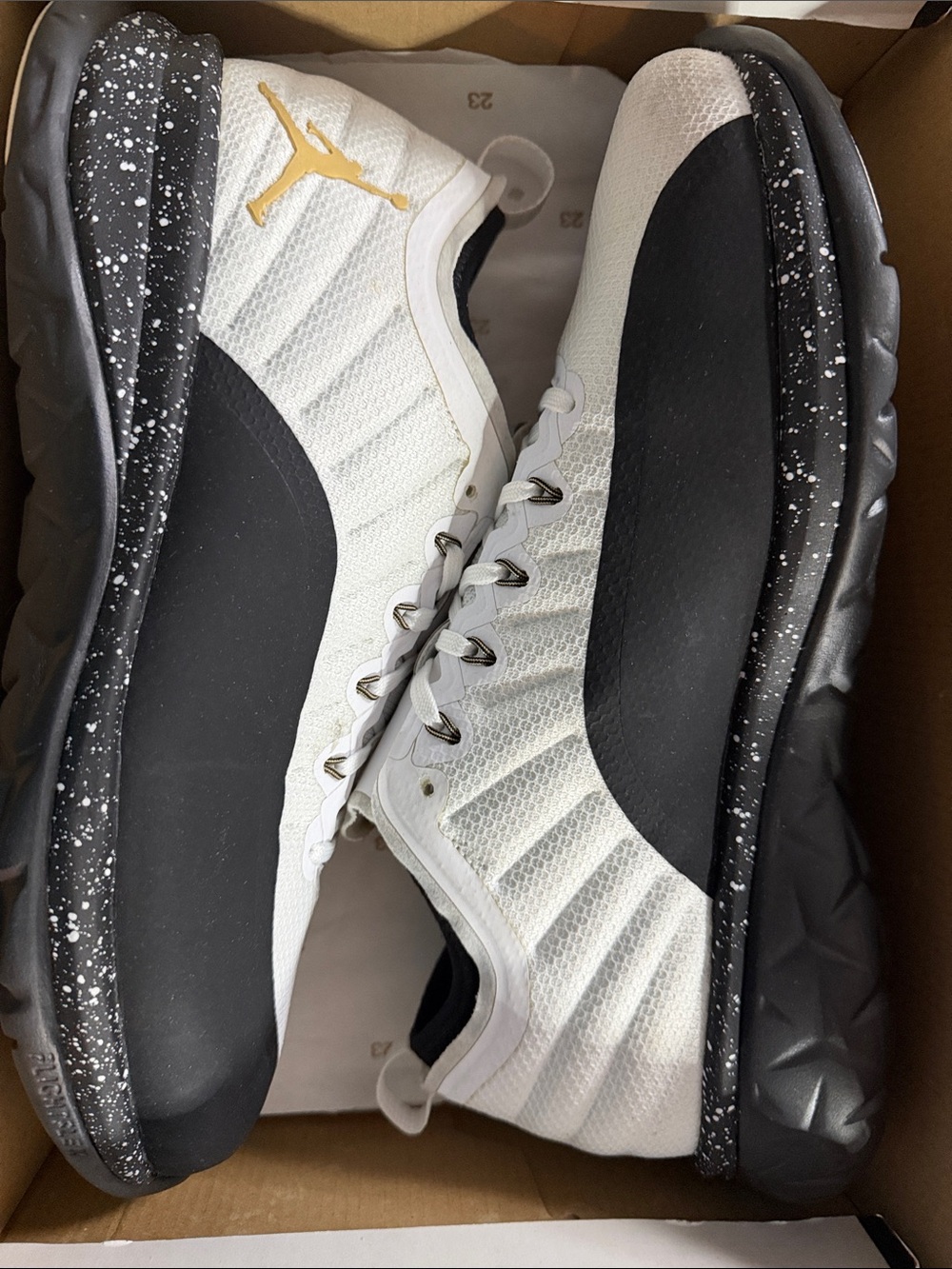 Jordan 12 Trainer Prime